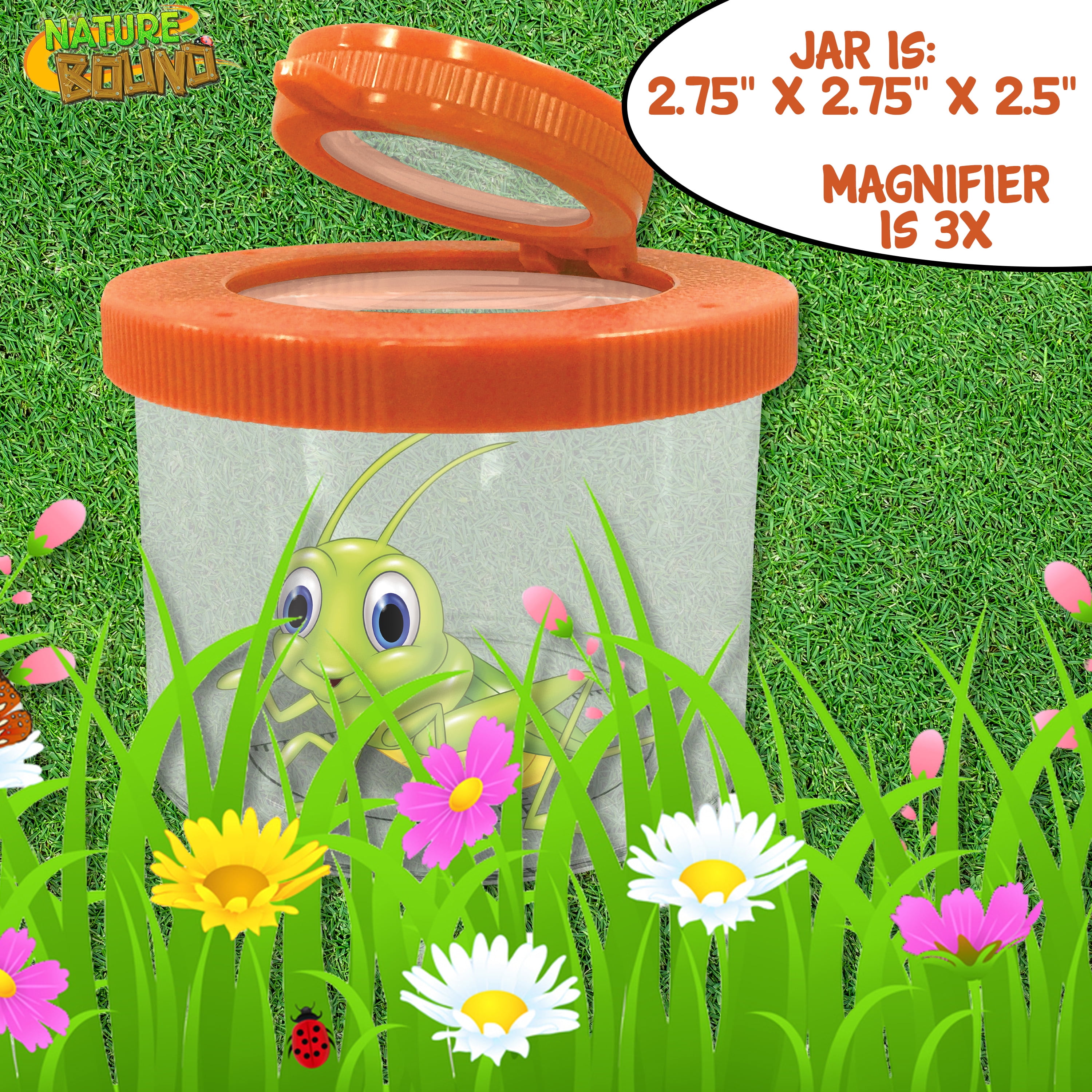 NEW 8x Insect Bug Viewer Magnifier With Scale 9led Children