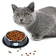thumbnail image 2 of Byepica 2 Cuencos para Mascotas de Acero Inoxidable Antideslizante Lindo Cuenco para Perros Cuenco para Gatos con 2 Cucharadas de Comida, 2 of 8