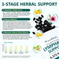 thumbnail image 2 of 2 Pack Lymphatic Support Softgels, Botanical Complex, Natural Metabolic Support, 240 Softgels, 2 of 11