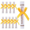 thumbnail image 1 of SHISUYAN 25pcs Mini Graduation Certificate Models Non-woven Certificate Scroll Micro Landscape Bear Doll Decor, 1 of 9