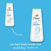 Dove Body Wash Gentle Exfoliating Cleanser, 20 oz, 2 Count