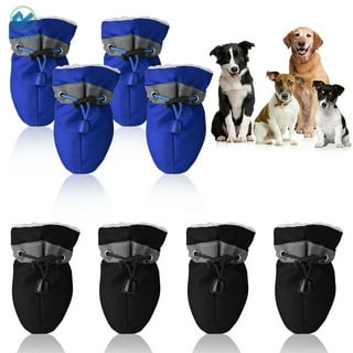 Dog shoes at walmart store