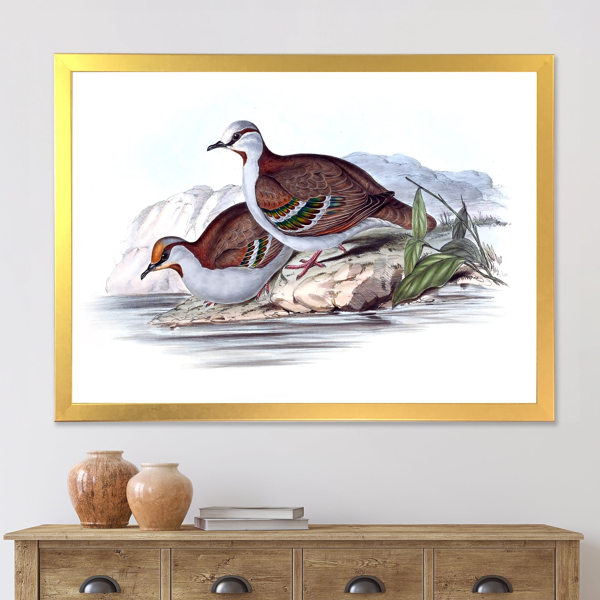 Designart 'Ancient Australian Birds IX' Traditional Framed Art Print