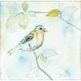 thumbnail image 3 of Schlabach, Sue 20x20 Black Modern Framed Museum Art Print Titled - Sketched Songbird I, 3 of 5