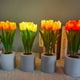 thumbnail image 5 of Cateissary Lámpara de elegante y práctica para la decoración del hogar y la decoración de la habitación lámpara de flores artificiales Iluminación y accesorios 6 cabezas rosa, 5 of 6