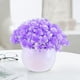 thumbnail image 1 of Bola de Bonsái de Flores Artificiales en Maceta | Plantas falsas de escritorio para decoración navideña interior | Material plástico | Amarillo, Naranja, Rojo Sandía, Rosa, Morado, Rojo | 12x12x12cm, 1 of 6