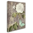 thumbnail image 2 of Trademark Fine Art "White Rose" Canvas Art by Color Bakery, 2 of 3