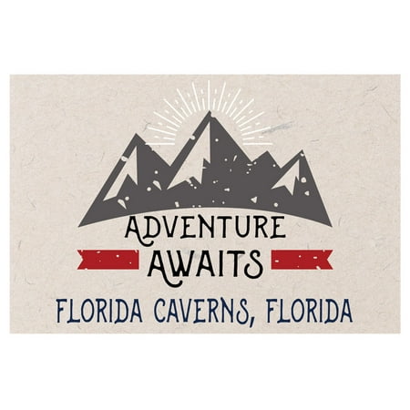 

Florida Caverns Florida Souvenir 2x3 Inch Fridge Magnet Adventure Awaits Design