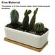 thumbnail image 4 of Monstrate Maceta de cerámica de 2 piezas, reemplazo Rectangular, estilo Simple, transpirable, anticorrosivo, accesorios para jarrones suculentos Decoración del hogar Monstrate HA084620-00, 4 of 6