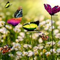 thumbnail image 5 of 50 Uds. De mariposas para jardín, macetero colorido y caprichoso con estacas de mariposas, decoración para exteriores, decoración de macetas, 5 of 5