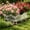 White, variant on Cmunyle 10 PC Black Decorative Garden Fence Panels 15.75 x 9.84 inch with Ground Stakes and 1.73 inch Grid for Flower Beds and Pet Barriers