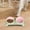 Pink, variant on Fmbmuo Plastic Elevated Dog Bowls Pink Spill-Proof Non-Slip Dog Bowls Elevated, Medium Modern Whisker-Friendly Pet Bowls, Portable Food and Water Bowl