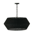 thumbnail image 4 of Capital Lighting - Boca - 6 Light Pendant In Coastal Style-14.75 Inches Tall and, 4 of 7