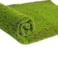 thumbnail image 2 of Fake Grass Foldable Beautiful Natural Artificial Moss Grass for Living Room, 2 of 10
