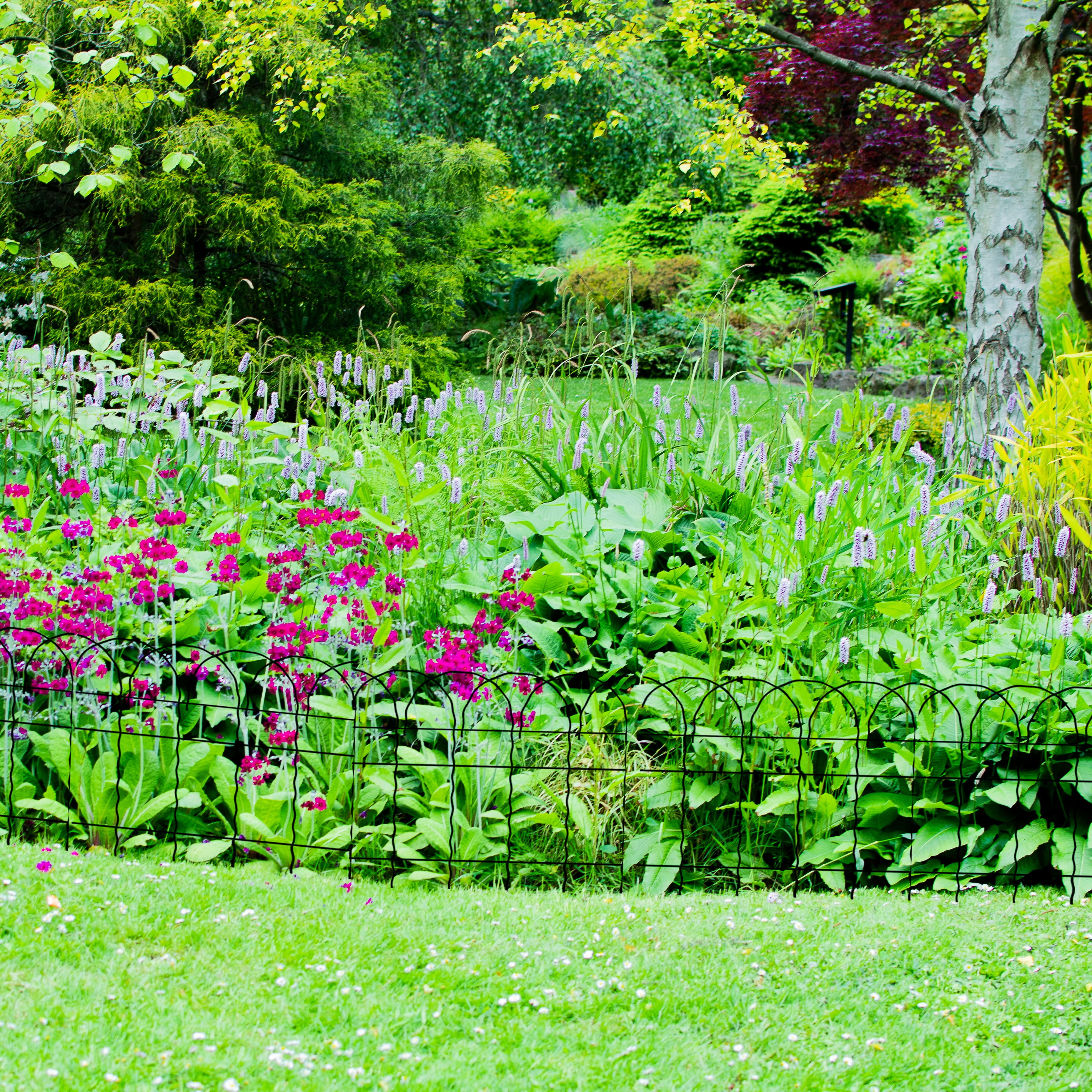 Expert Gardener 20ft Green Rolled Metal Fence
