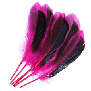 Uxcell 6-8 Inch Goose Feathers, 50 Pack Bulk Natural Feathers for Crafts  Style 4, Red 