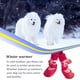 thumbnail image 5 of Greeniant 4 piezas de zapatos para mascotas lindo algodón lluvia nieve botas conjunto de calcetines buena elasticidad con suela de goma cubierta de pata Ropa para mascotas Amo el rojo METRO Greeniant PT003813-22B, 5 of 6
