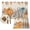 Beige, variant on Orange Pumpkins Fall Placemats Set of 4, Thanksgiving Maple Leaf Rustic Washable Wipeable Table Mats for Dining Tables, Indoor Outdoor Kitchen Place Mats for Holiday Party Table Decor