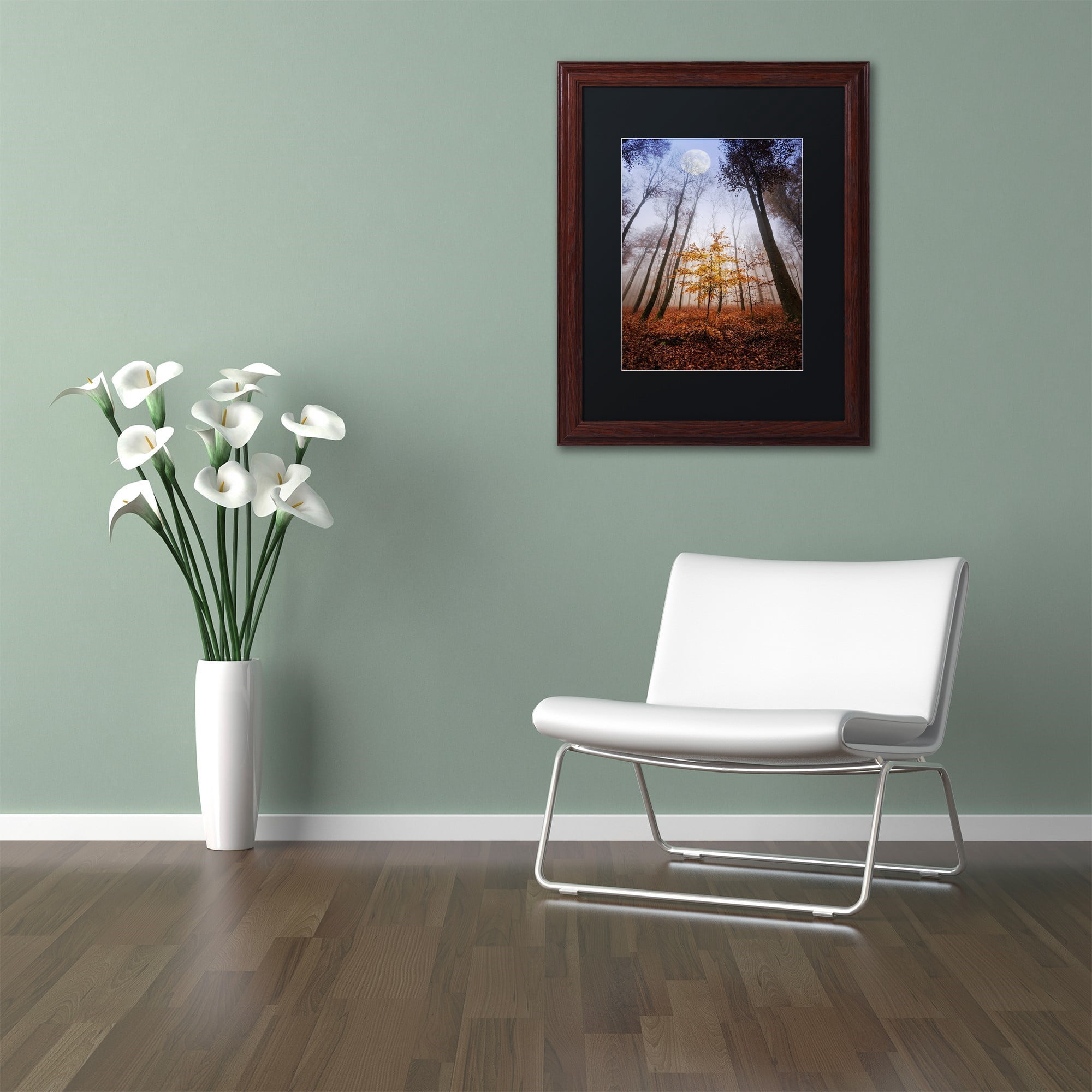 Trademark Fine Art "Sentinel" Canvas Art by Philippe Sainte-Laudy Black Matte, Wood Frame
