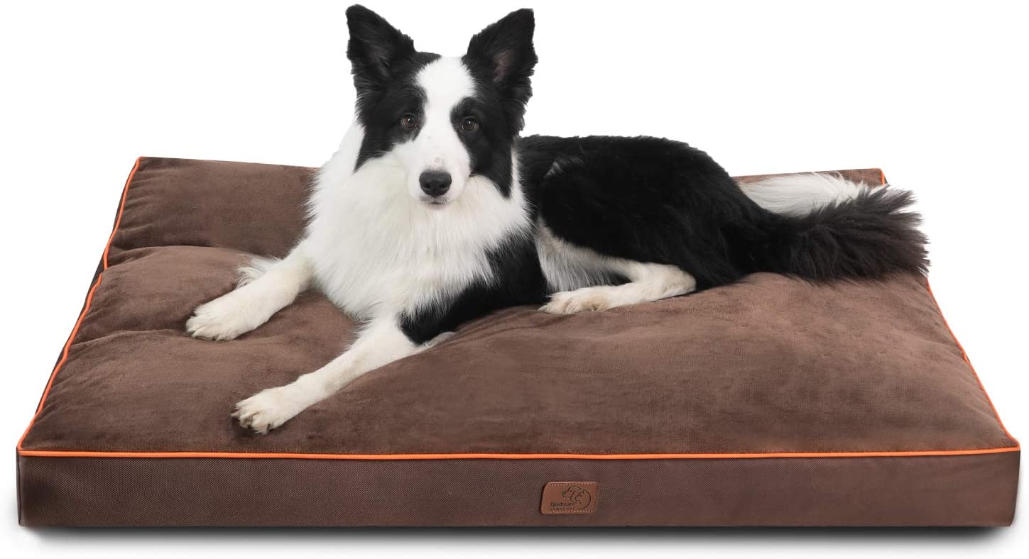 xl dog bed cover