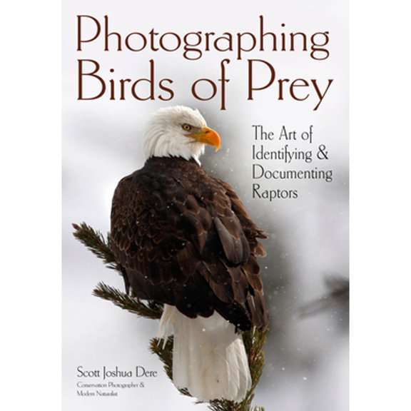 Pre-Owned Photographing Birds of Prey: The Art of Identifying & Documenting Raptors (Paperback) by Scott Joshua Dere