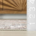 thumbnail image 6 of nuLOOM Benoite Splashguard Medallion Machine Washable Area Rug, 3' x 5', Benoite Brown, 6 of 11