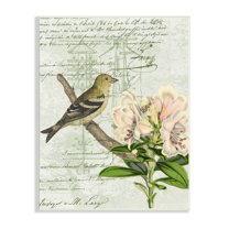 Bird House Vintage Patent Lily Floral American Goldfinch 10 in x 15 in Framed Painting Art Print, by Stupell Home Décor