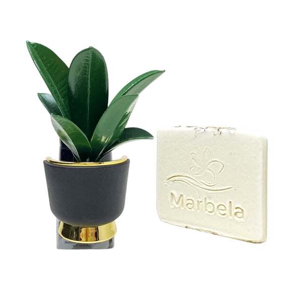 Bath & Body Works Sleek Botanical Wallflowers Fragrance Plug with a Marbela Natural Oats Sample Soap