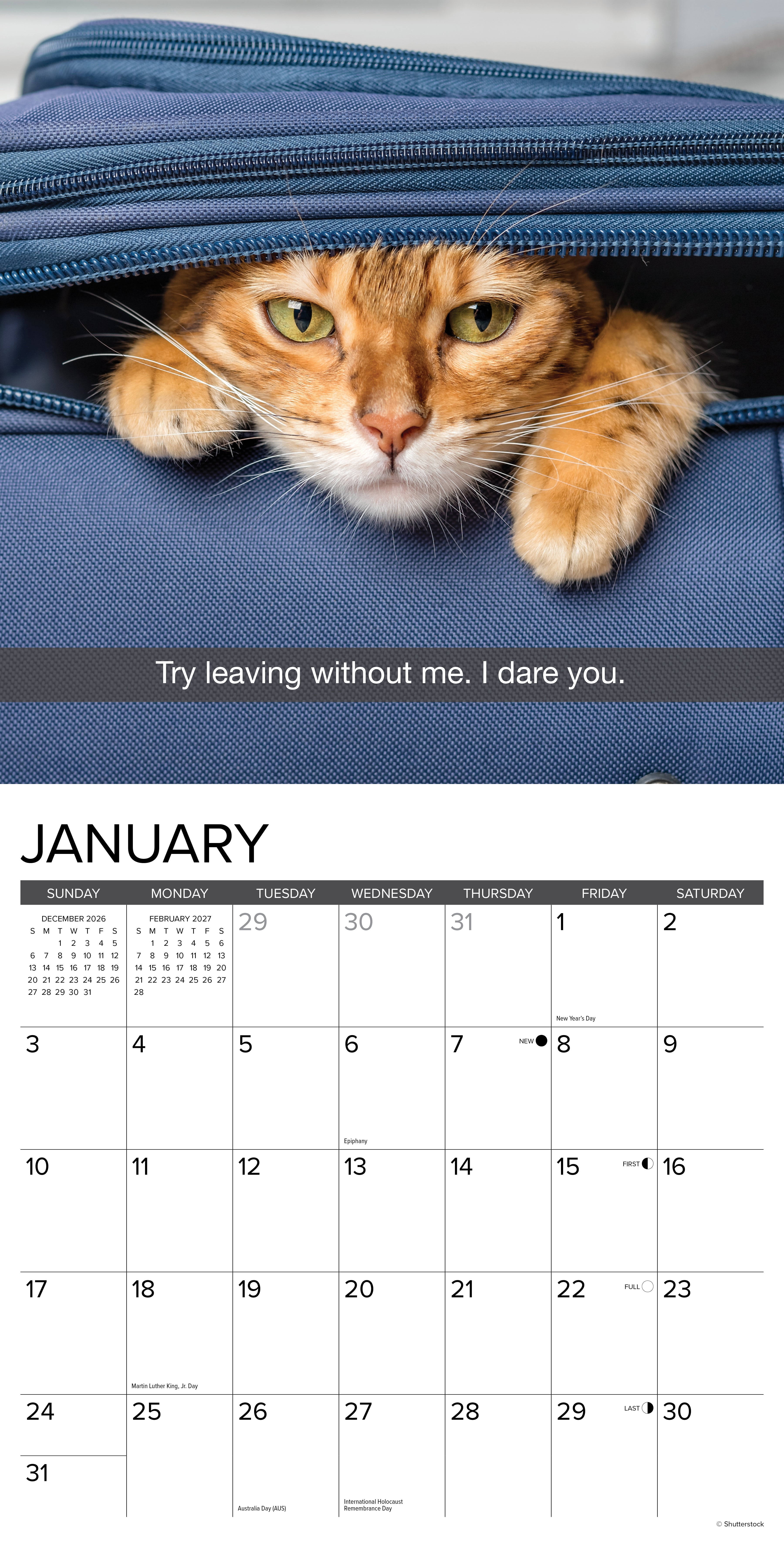 Willow Creek Press, Snapcats 2027 Wall Calendar