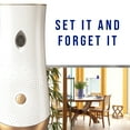 thumbnail image 5 of Glade Automatic Spray Air Freshener Refills, Yuzu & White Peach, Fresh Collection, 6.2 oz, 5 of 13