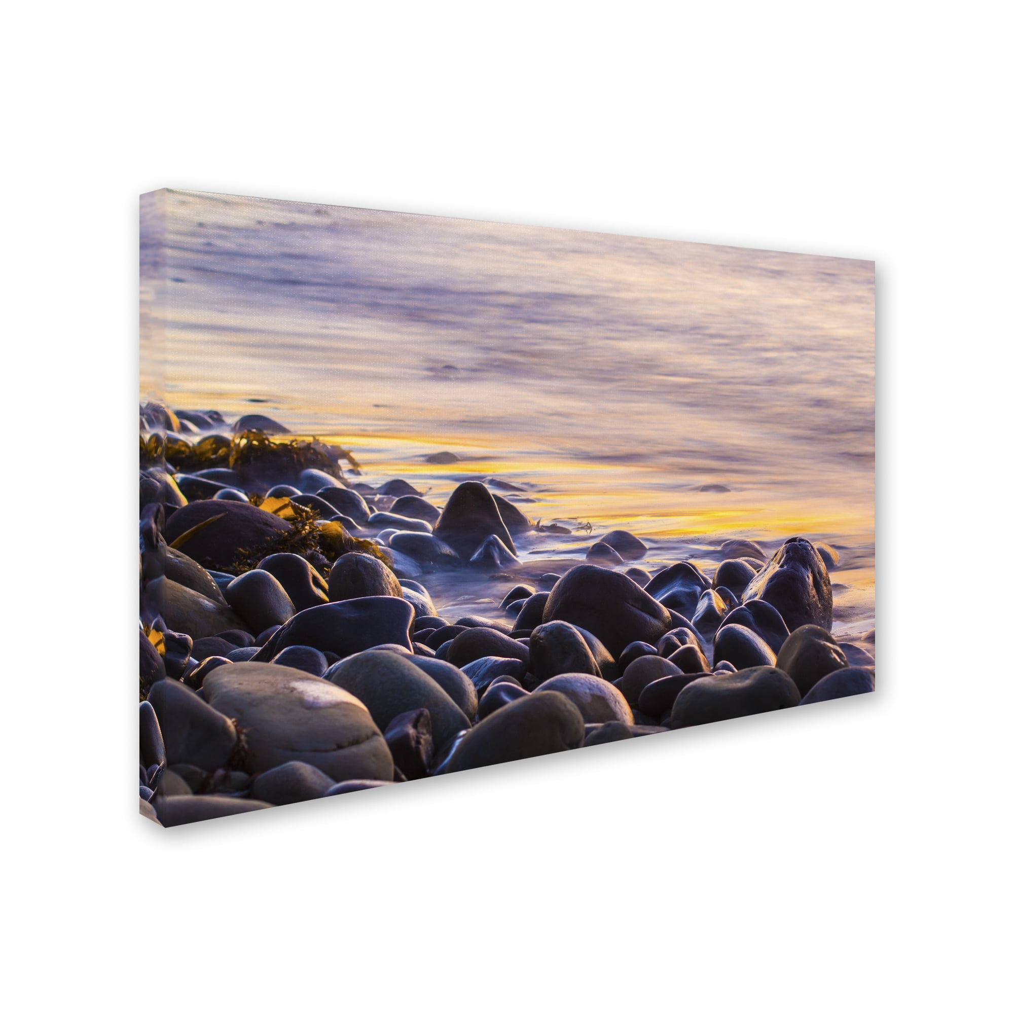 Trademark Fine Art Chris Moyer 'Wet Rock Reflections' 16 x 24 (ALI0767-C1624GG)