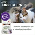 thumbnail image 2 of HomeoPet Feline Digestive Upsets Digestive Health Supplement Solution for Cats, 15-Milliliter Bottle, 2 of 8