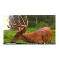 thumbnail image 7 of StealthCam G42 No-Glo Trail Game Camera with 32GB Memory Card Bundle, 7 of 7