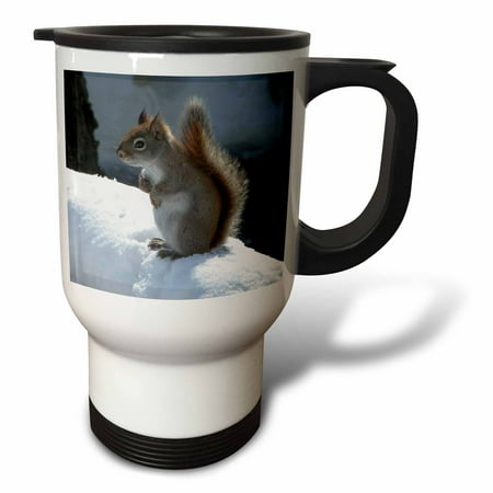 

Red Squirrel in the Snow 14oz Stainless Steel Travel Mug tm-12333-1