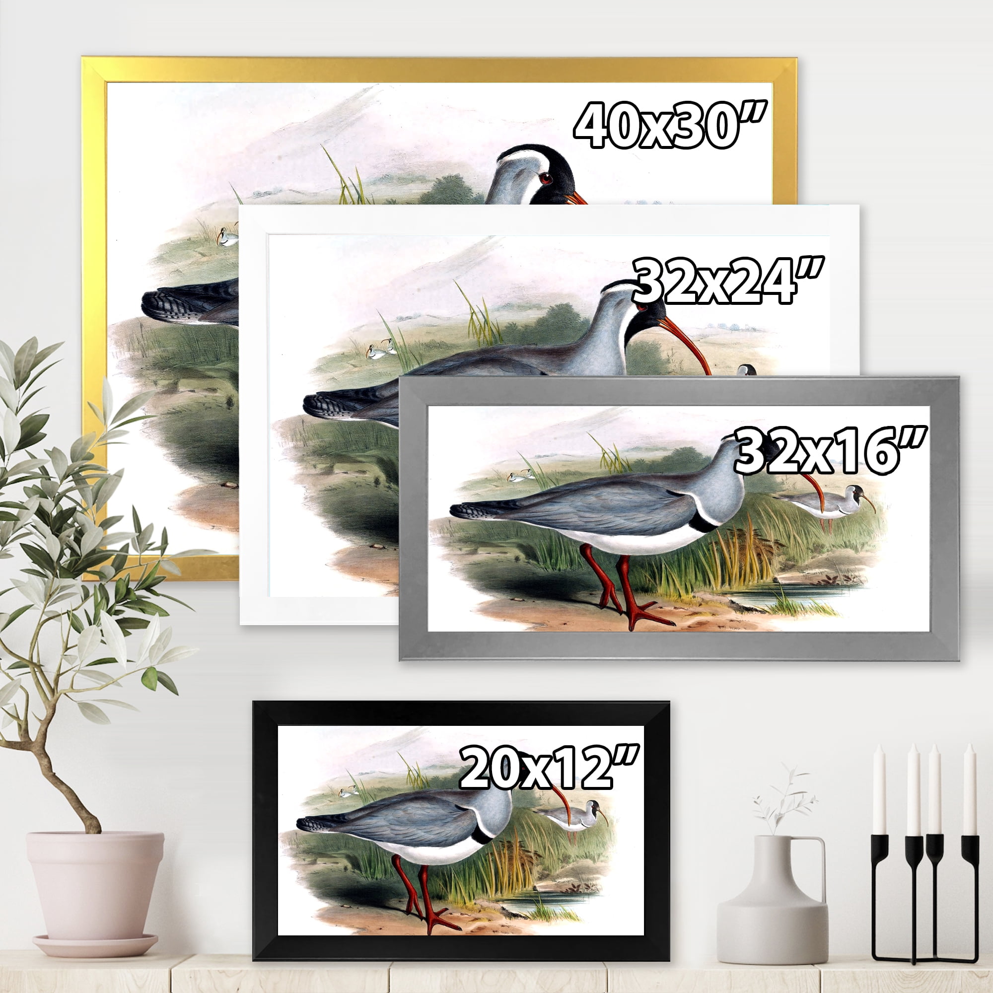 Designart 'Vintage Countryside Birds In Wild' Farmhouse Framed Art Print