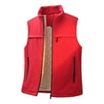 thumbnail image 4 of Rutainlusire Mens Warm Stand Collar Sleeveless Jackets Vest 2025 Men's Solid Color Sleeveless Hooded Zipper Cardigan Warm Jacket, 4 of 5