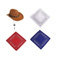 thumbnail image 4 of PORCHA GOOSE COMPTER Halloween Cowboy Gat para césped al aire libre patio de la estatua 4pcs, 4 of 8