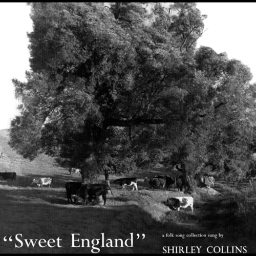 Shirley Collins - Sweet England - Music & Performance - CD