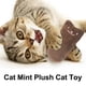 thumbnail image 4 of 3 piezas de juguetes para gatos de interior, juguetes de peluche para masticar, juguetes suaves para limpiar los dientes para mascotas, juguetes interactivos para morder para gatos, 4 of 5