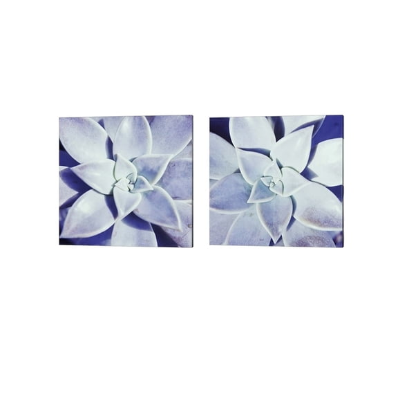 Ultra Violet by Jason Johnson Canvas Art Set of 2 14 inch X 14 inch Each