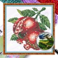 thumbnail image 1 of Kit Punto Cruz Granada Con Cuentas Bordado Parcial 9CT 25x25cm para El, 1 of 9