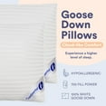 thumbnail image 4 of Continental Bedding Hungarian White Goose Down Medium Hotel Bed Pillow 100% Cotton Shell with 700 Fill Power -Medium, King Size, Set of 2, 20x36 Inch, 4 of 7