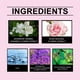 thumbnail image 4 of 100 ml Perfume Para Mujeres, 100 ml Perfume Para Mujeres, 100 ml Perfume Para Mujeres FLlomon, 3.38Oz.FL, 4 of 8