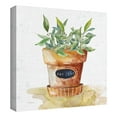 thumbnail image 2 of Masterpiece Art Gallery Potted Bay Leaf By Carol Robinson Canvas Art Print 16" x 16", 2 of 2