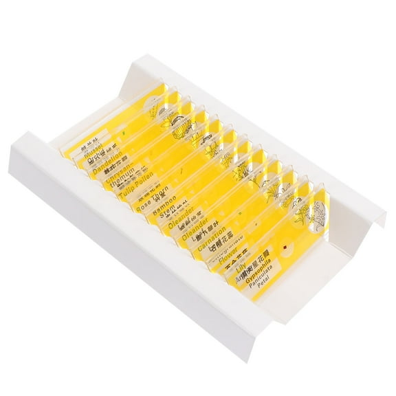 LEORX Microscope Specimen Slices Plastic Prepared Slides for Science Education Yellow