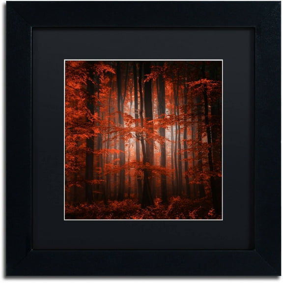 Trademark Fine Art "Red Parallel Universe" Canvas Art by Philippe Sainte-Laudy Black Matte, Black Frame