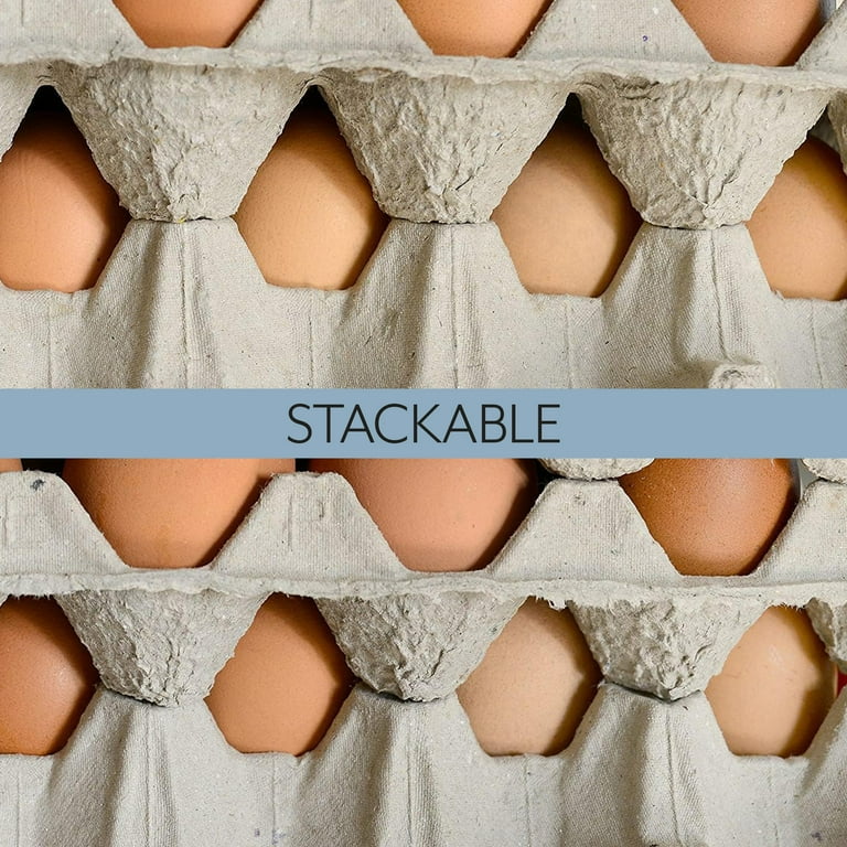 Cornucopia 30 Count Egg Flats 18 Trays Biodegradable Recycled Material Chicken Egg Cartons Each Holds 30 Eggs