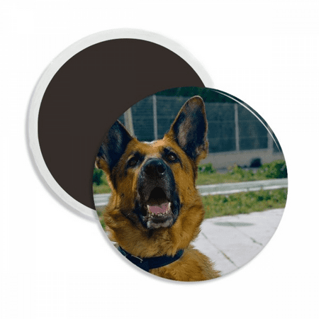 

Handsome Dog Pet Photography Picture Round Ceracs Fridge Magnet Keepsake Decoration