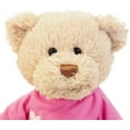thumbnail image 3 of Baby Gift Idea G320154 Gund Im The Big Sister Teddy Bear, 3 of 4