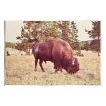 Stupell Wild Bison Rural Nature Scenery Animals & Insects Photography Wall Plaque Unframed Art Print Wall Art
